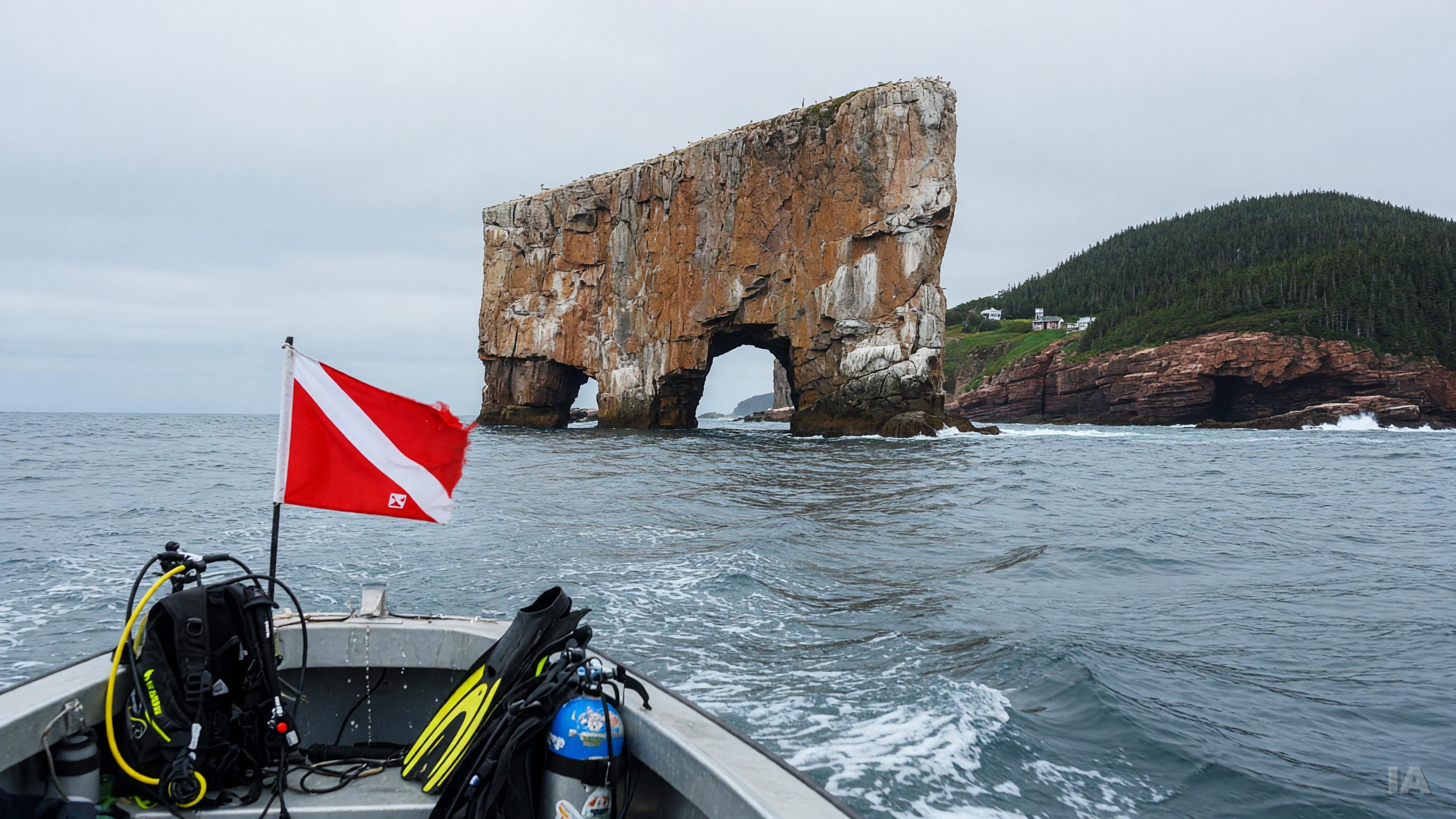 Attaque de requin blanc à Percé : anatomie d'un événement quasi sans précédent au Canada